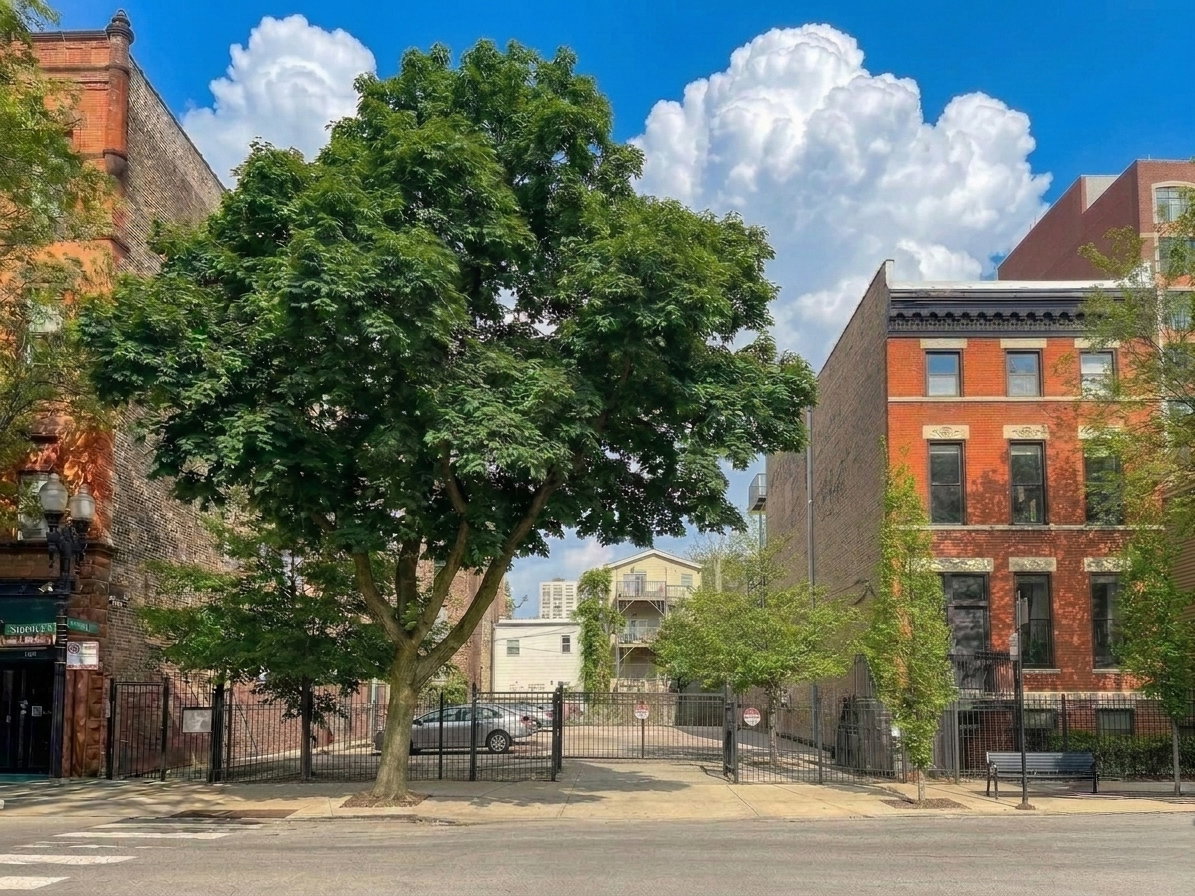 1455-59 N Sedgwick Avenue, Chicago, IL 60610
