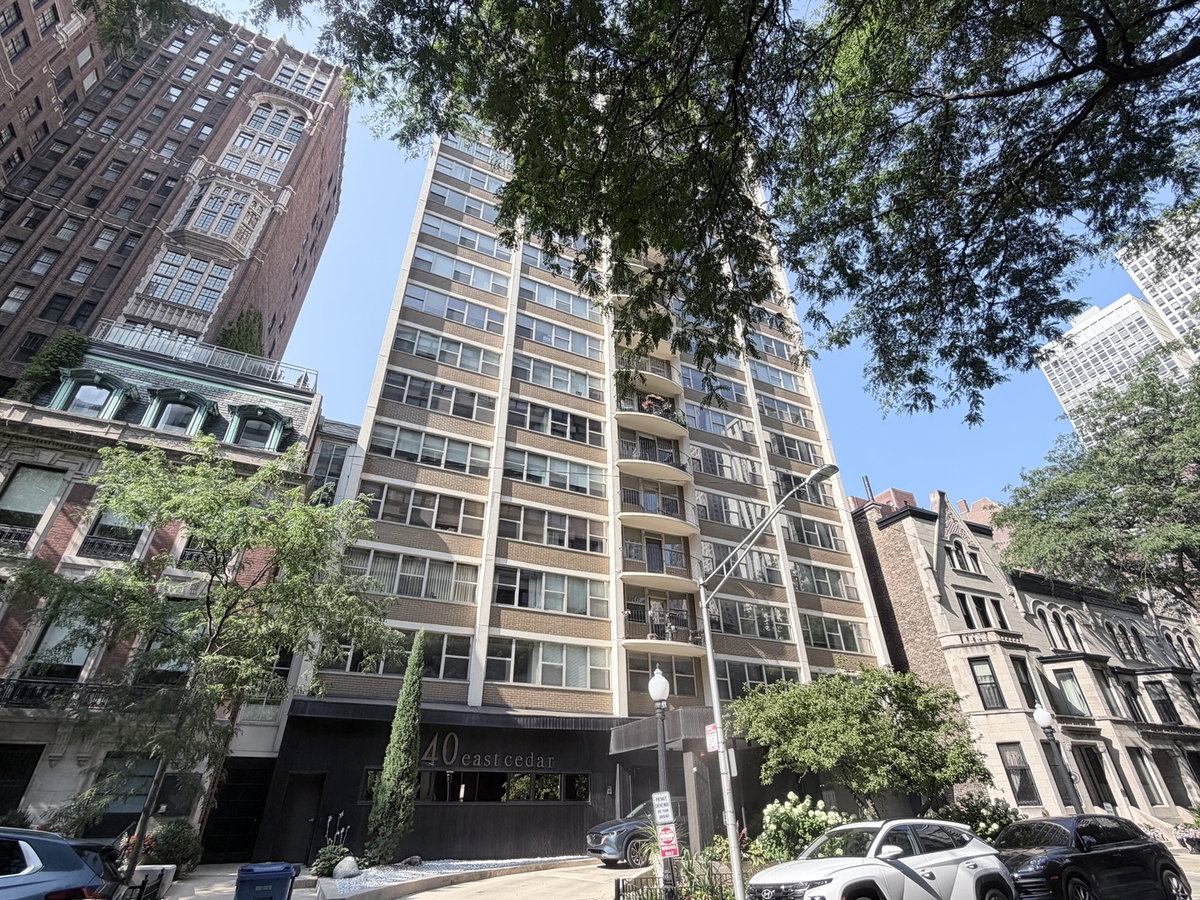 40 E Cedar Street #11C\n Chicago, IL 60611