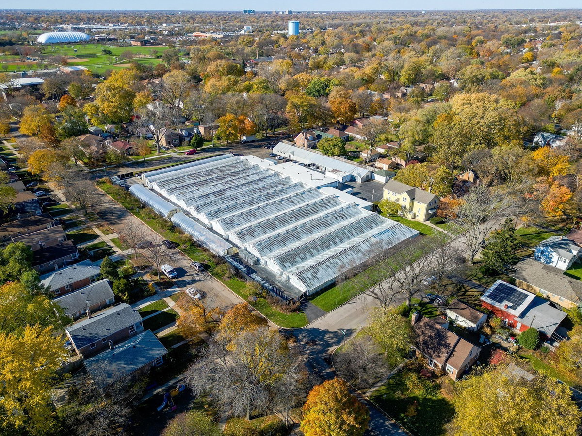 316 Florence Avenue, Evanston, IL 60202