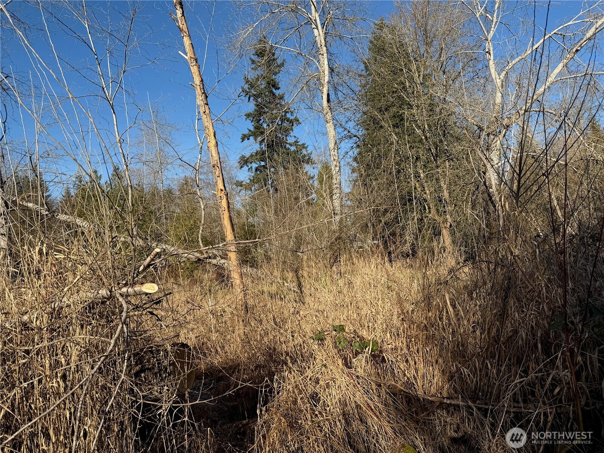 No Property Photos
