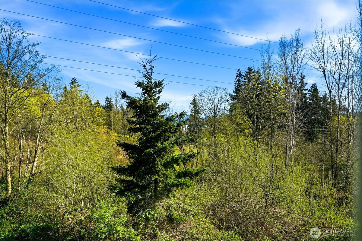 No Property Photos