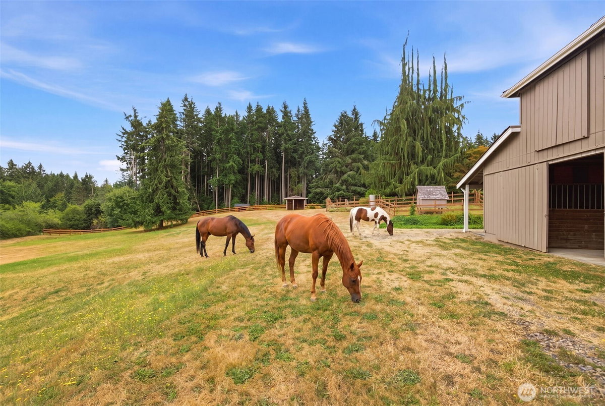 No Property Photos