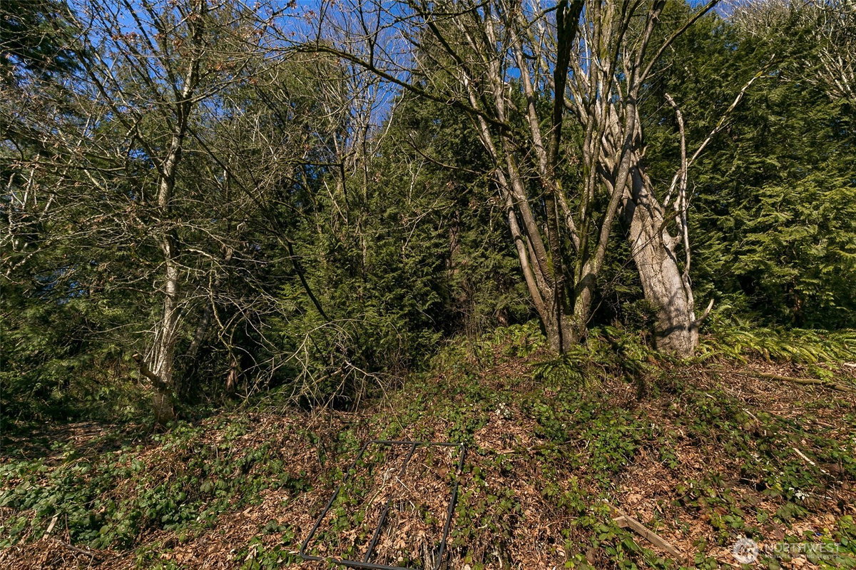 No Property Photos