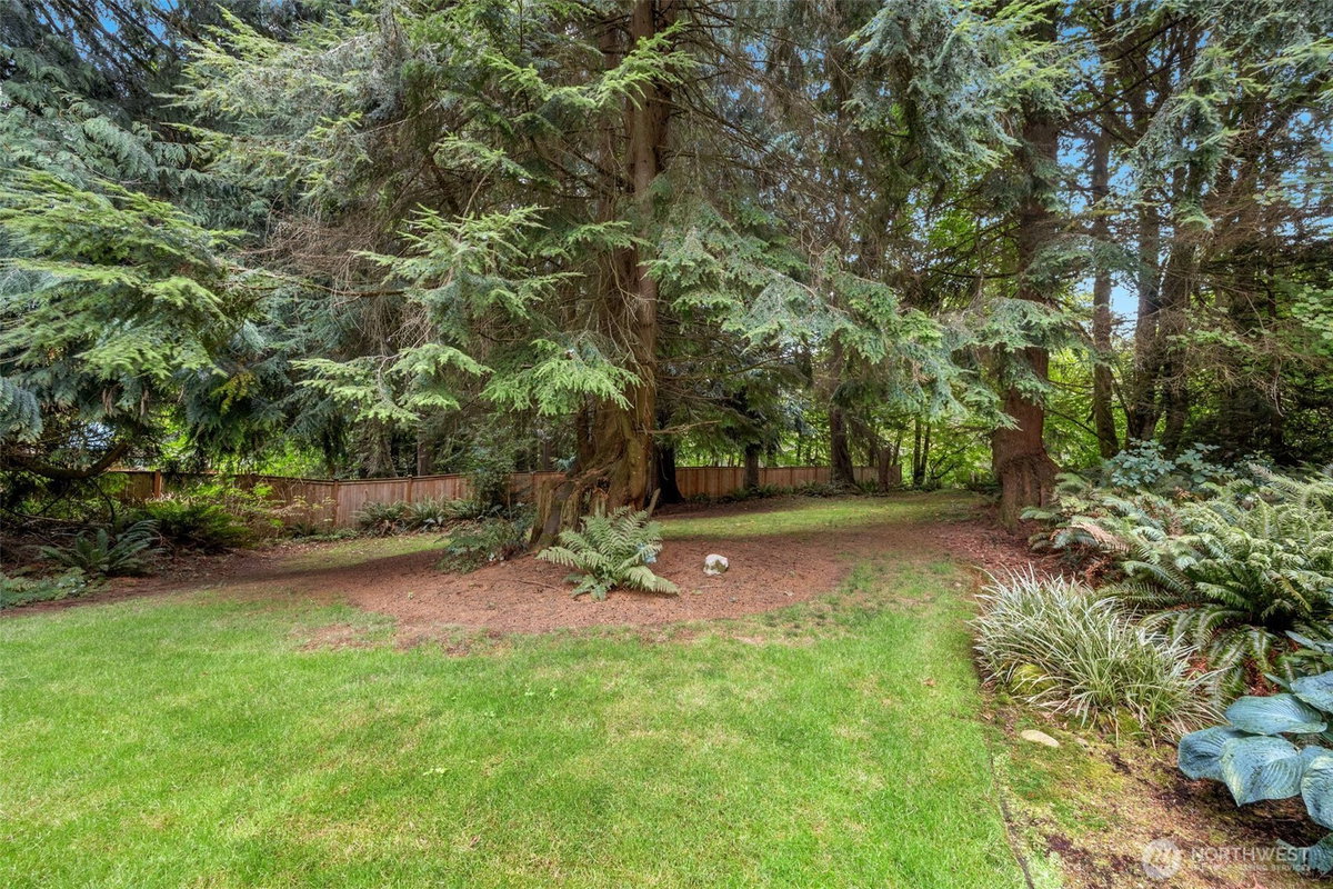 No Property Photos