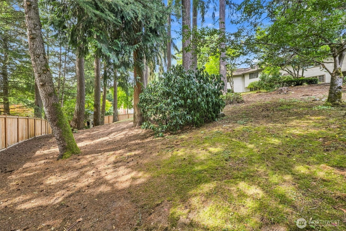 No Property Photos