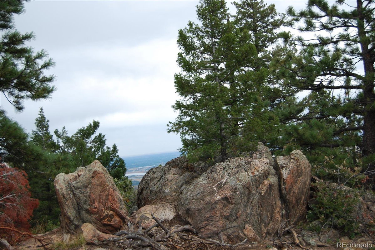 Featured Properties