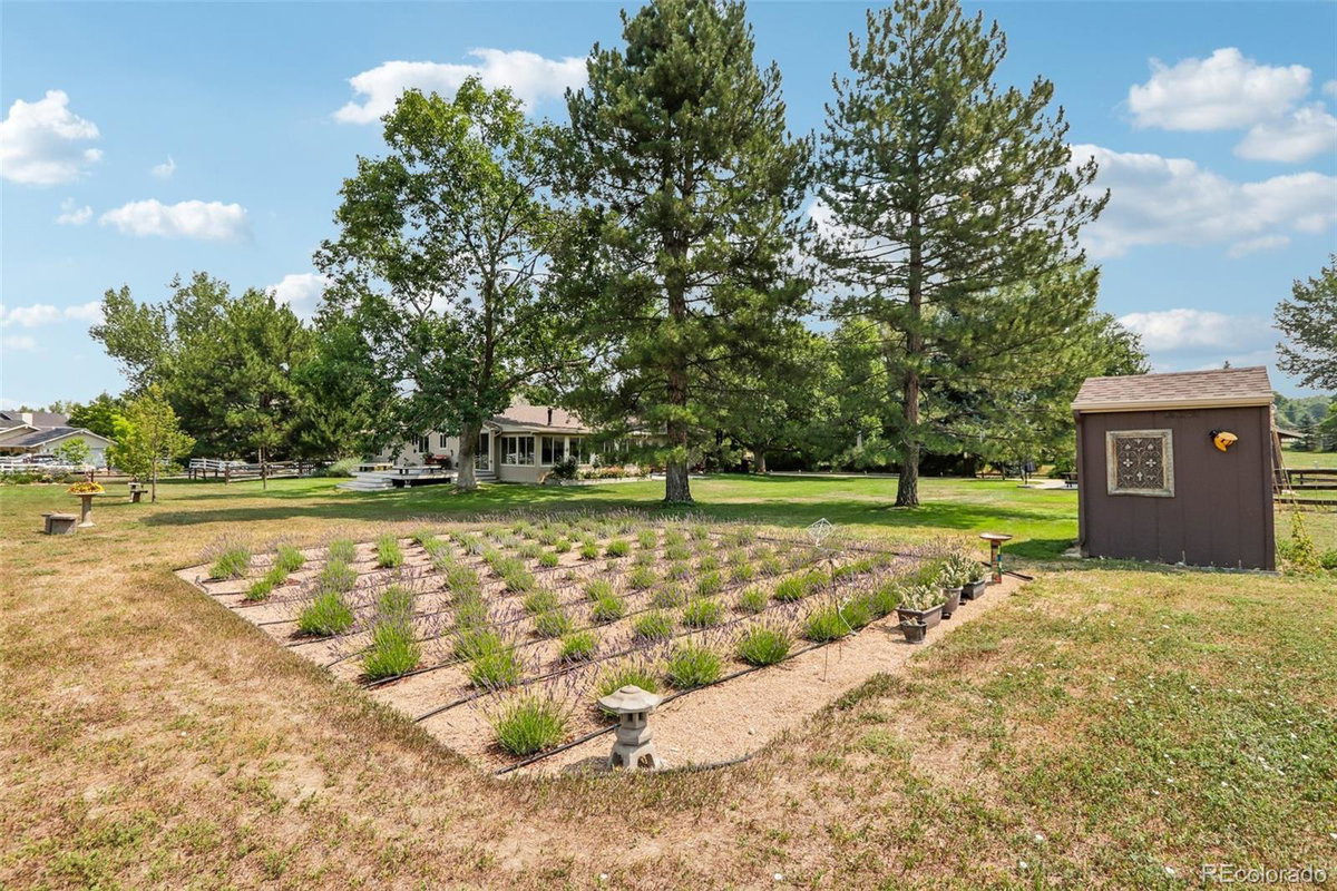 Featured Properties